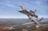 81FS In Allied Force - by Ronald Wong