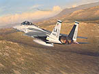 Advantage Eagle - by William S. Phillips