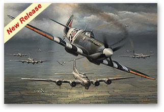 Allies in Arms