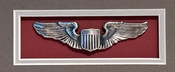 USAAF wings