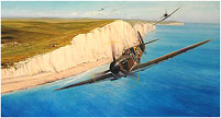 Coastal Patrol - by Richard Taylor