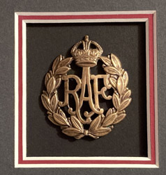 RAF badge