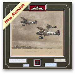 Early Evening Patrol