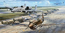 Flying Tiger Legacy - by John Shaw