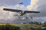 Fieseler Fi156 Storch - by Mark Postlethwaite