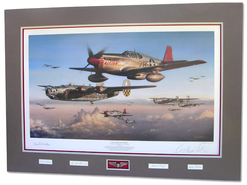 Safe Passage Home - by John D Shaw