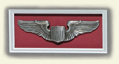 USAAF wings Safe Passage