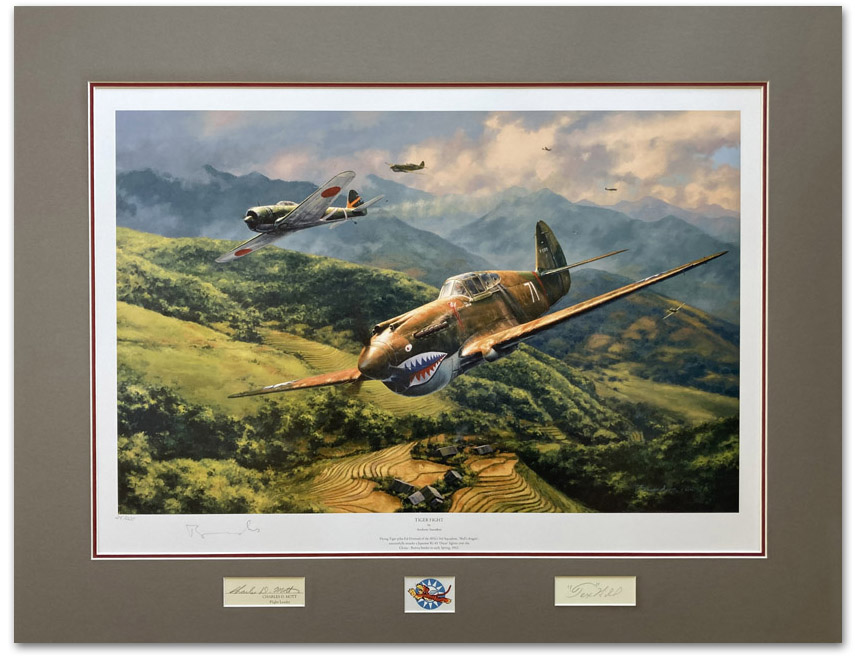 Tiger Fight - Archive presentation