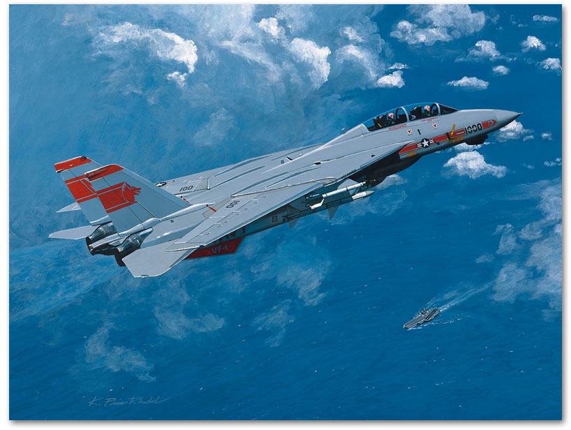 Tomcat - by K Price Randel