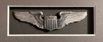 USAAF wings