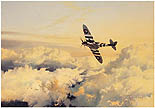 Wings of Glory - by Robert Taylor