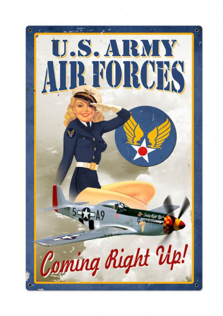 Air Force Pin-Up