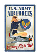 Air Force Pin-Up