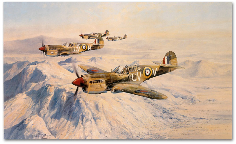 Desert Hawks - by Robert Taylor