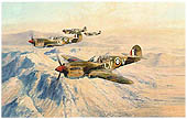 Desert Hawks - by Robert Taylor